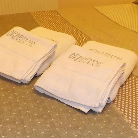 Apartmán Erdoglija *