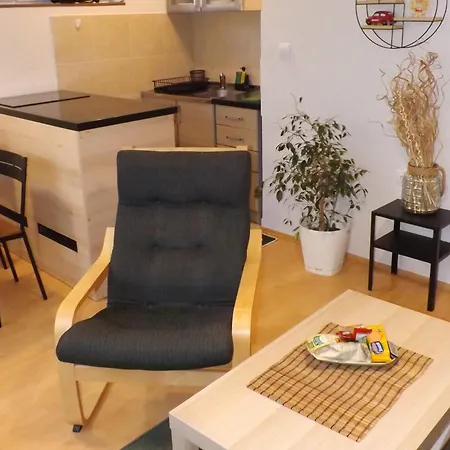Apartmán Erdoglija Kragujevac